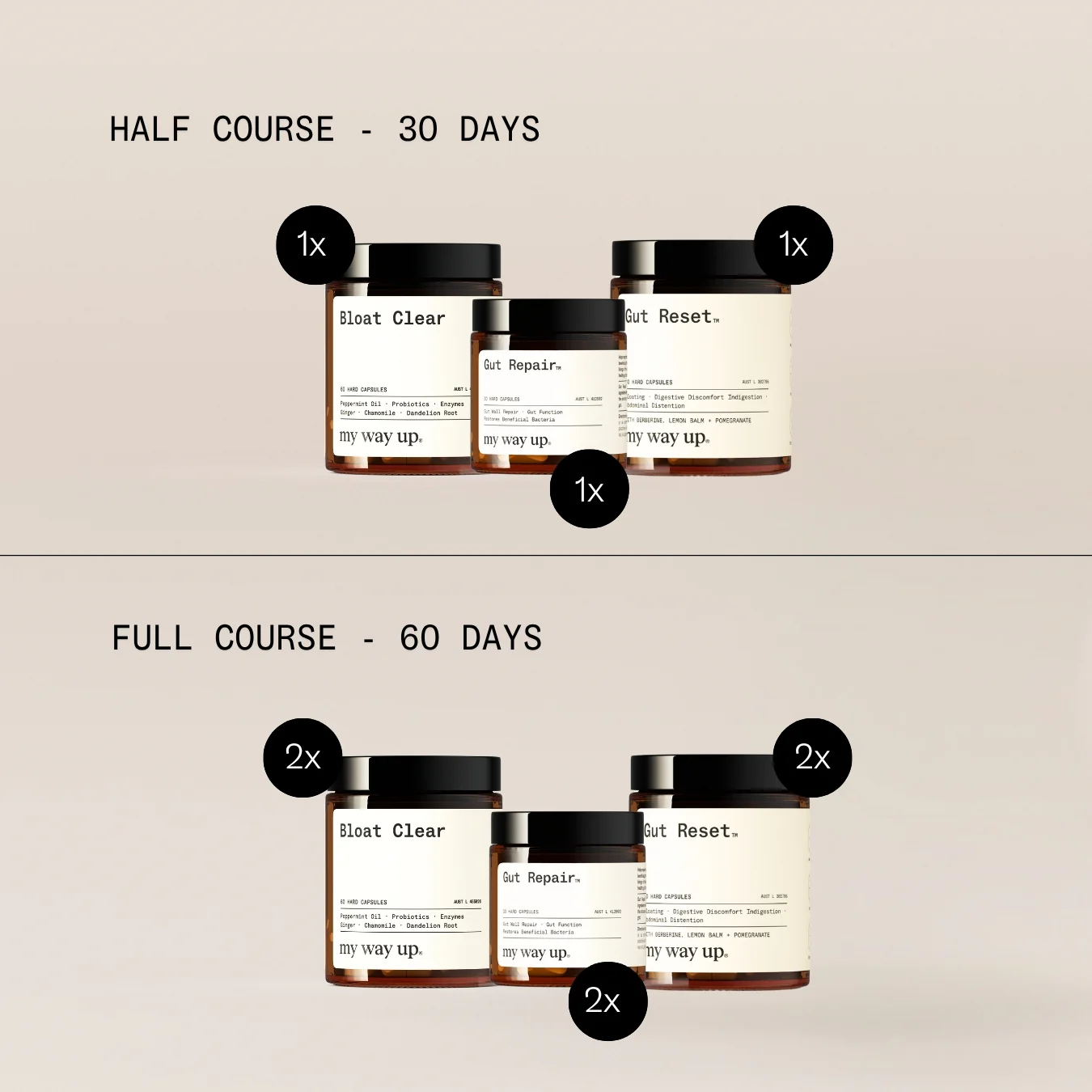 Advanced Gut Reset System - Image 6