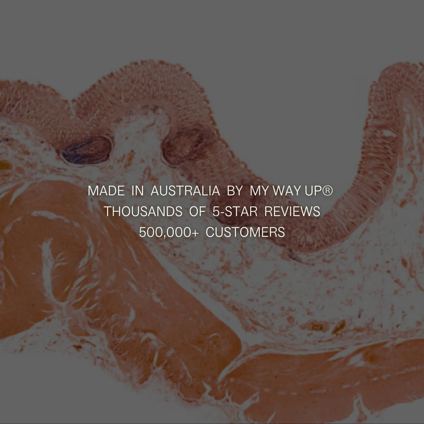 Advanced Gut Reset System - Image 8