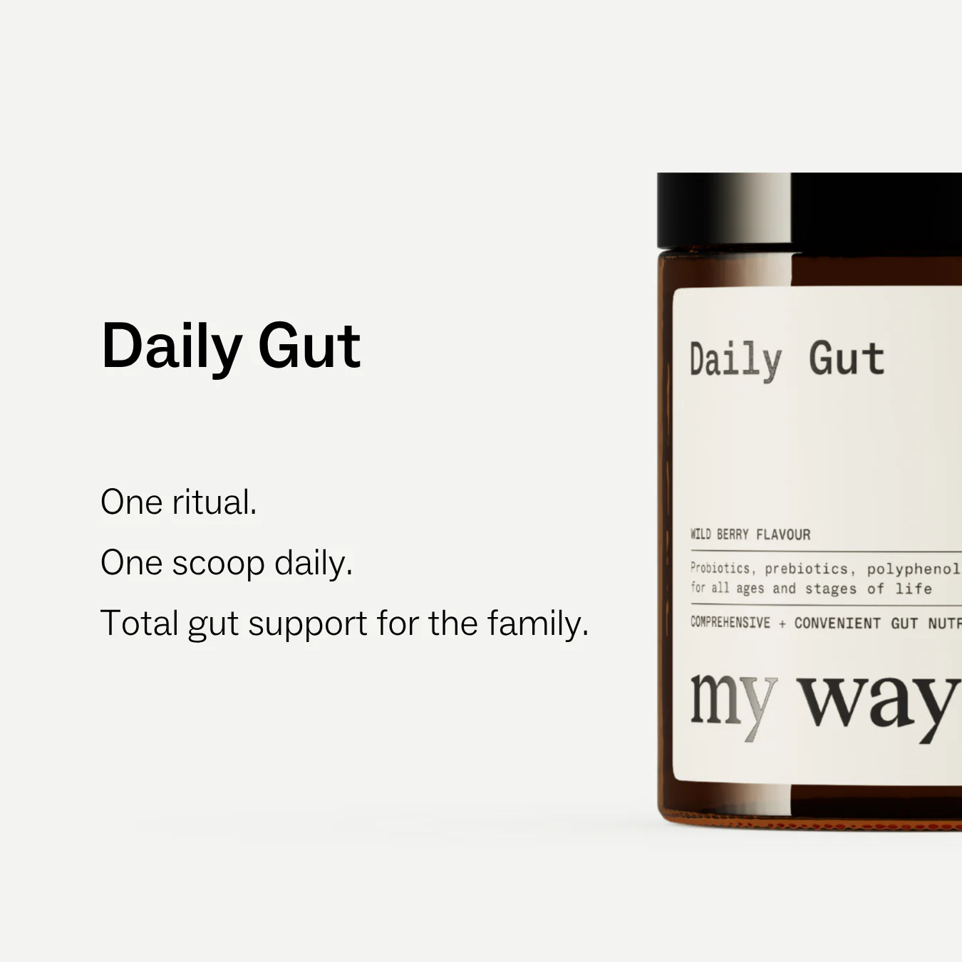 The Daily Foundations Stack - Image 5