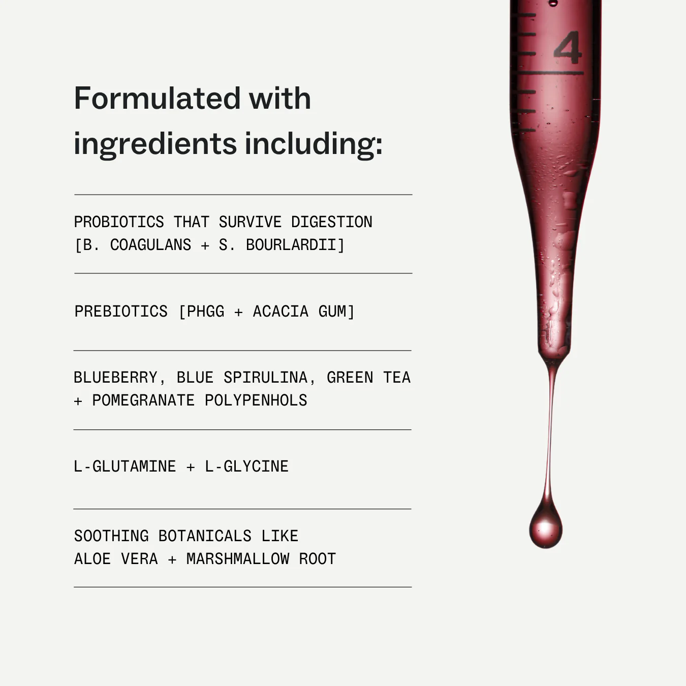 The Daily Foundations Stack - Image 6