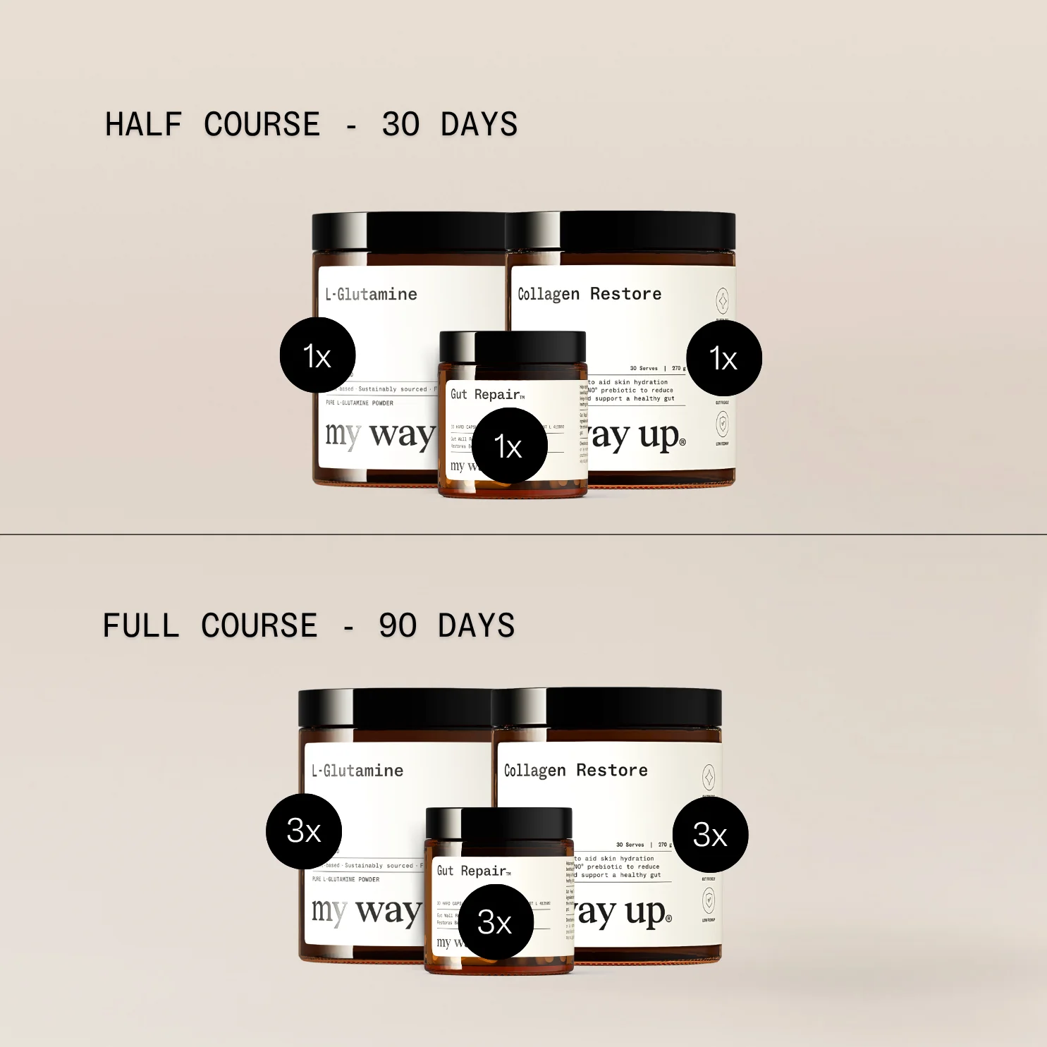 The Gut Repair System - Image 3