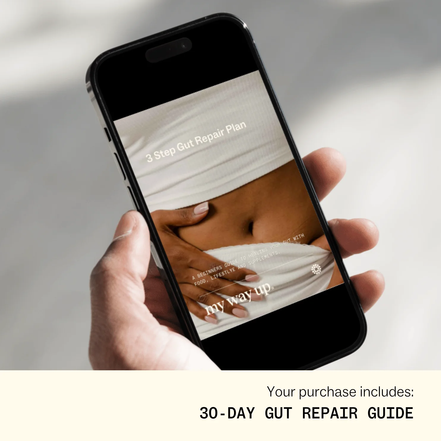 The Gut Repair System - Image 4