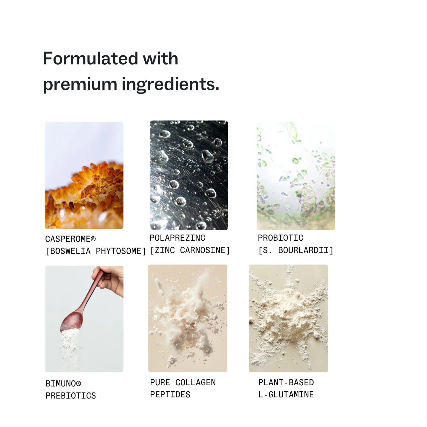 The Gut Repair System - Image 5