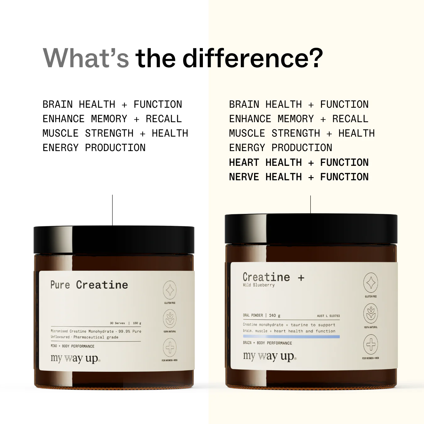 Creatine + - Image 3