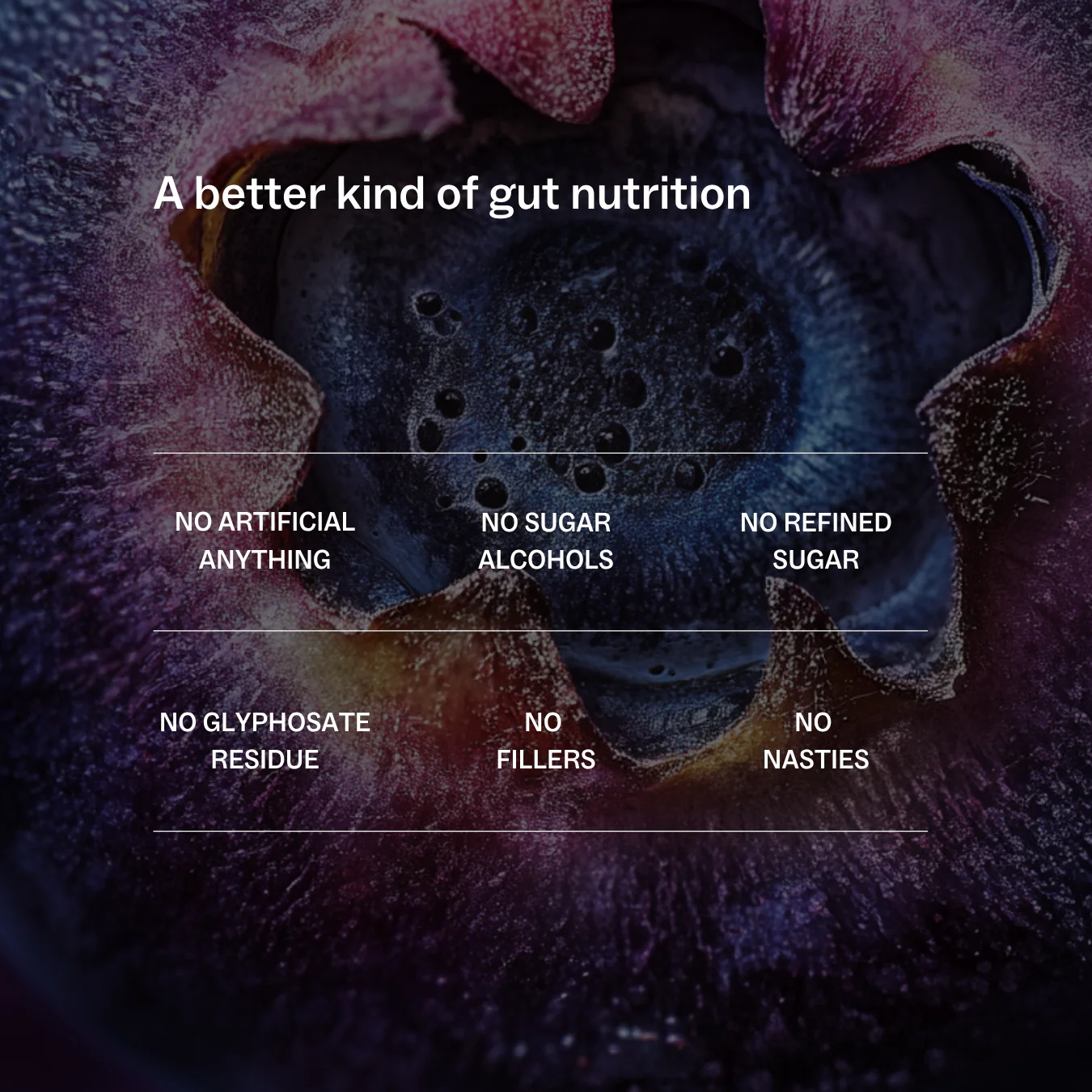 Daily Gut™ - Image 5