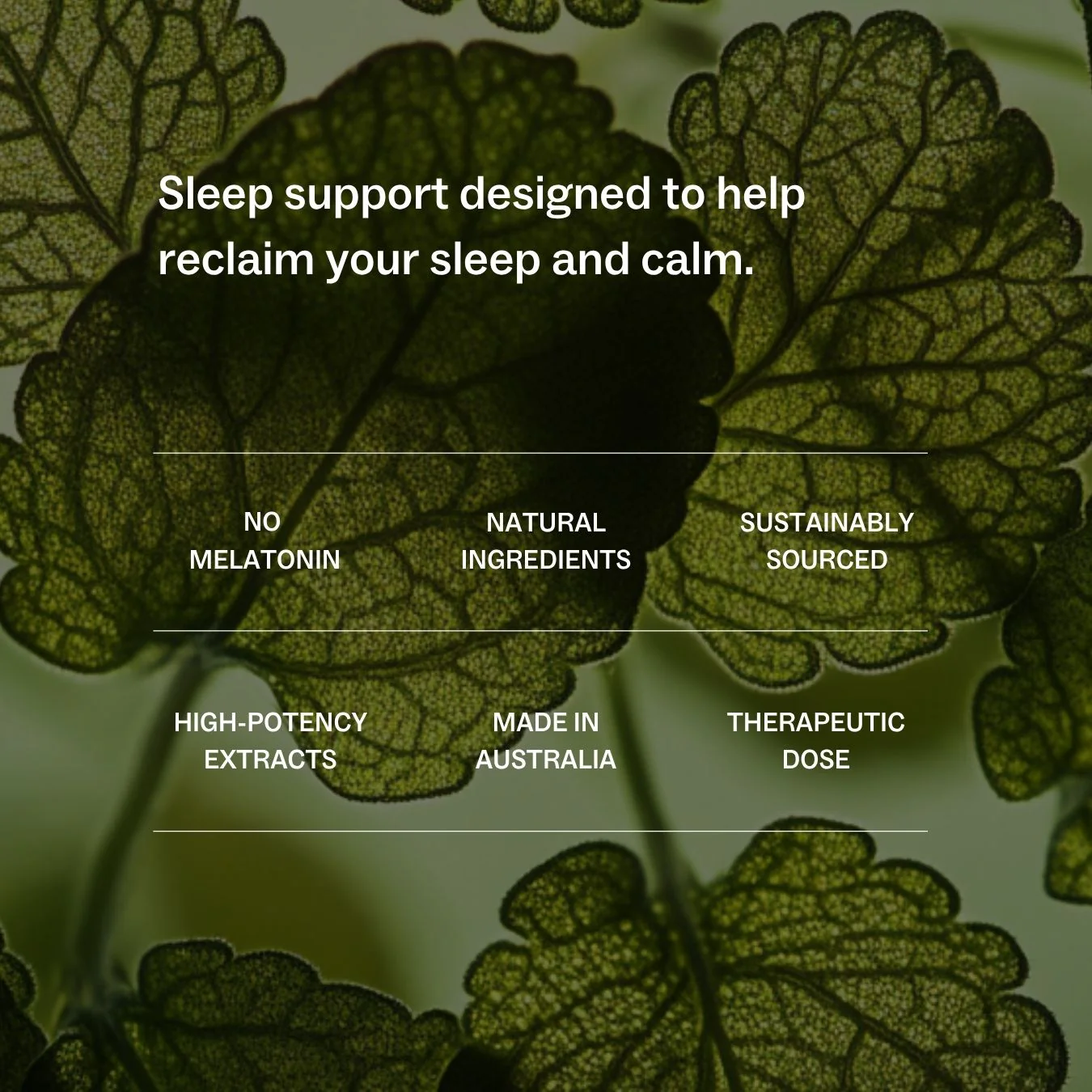 Sleep + Stress - Image 6