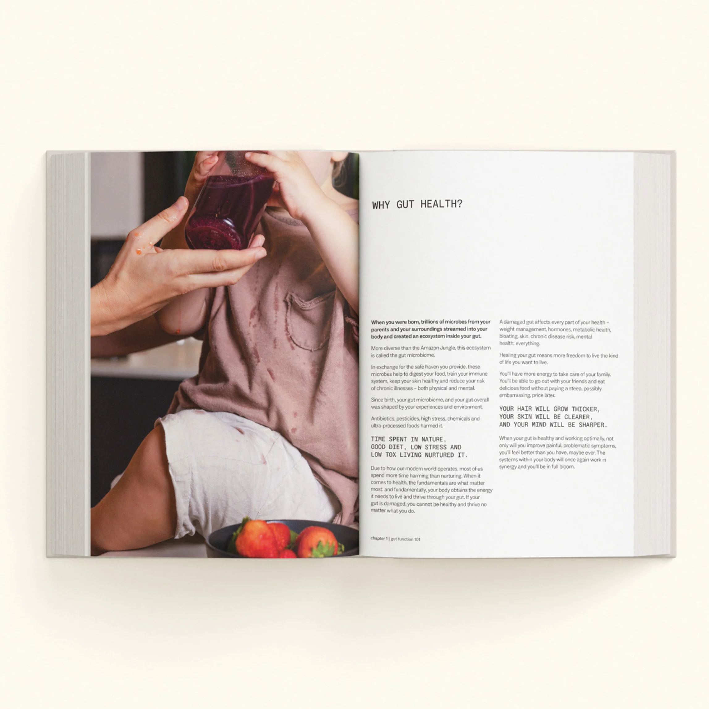 Gut Health For Life - Image 6