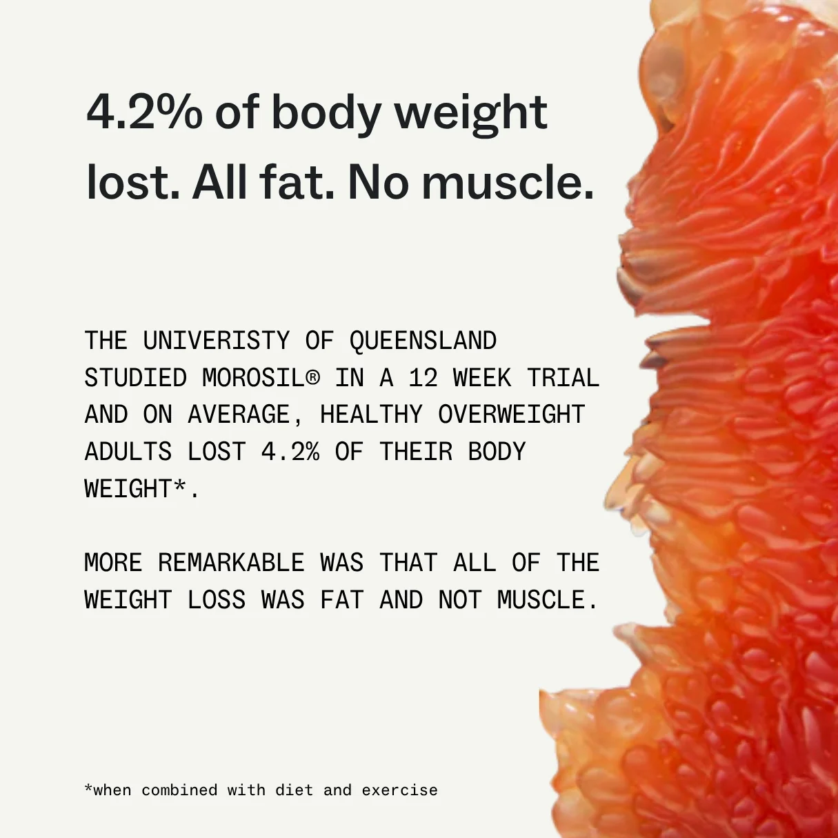 Metabolism + - Image 4