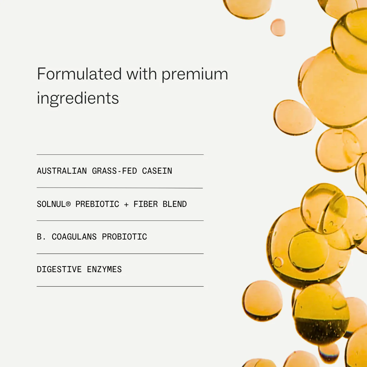 Supergut Protein - Image 4